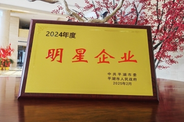 新春新景新氣象 | 景興紙業(yè)在平湖三干大會(huì)上喜摘榮譽(yù)！